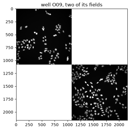 ../../_images/ac9e5063bfbdfd6f080de4b37096a2d983f930ffb4072a777fd6e666b669078f.png